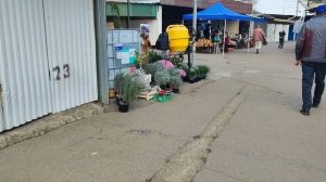 НА РЫНОК ЗА ПОКУПКАМИ/ ГОТОВИМСЯ К СЕЗОНУ/ НАКОНЕЦ-ТО МЫ ЭТО СДЕЛАЛИ/ Я ТЕПЕРЬ СПОКОЙНА