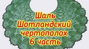 Шаль Шотландский чертополох  6 часть с 87 по 102 ряд