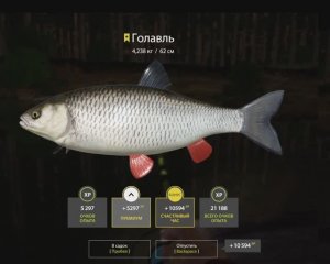 РУССКАЯ РЫБАЛКА 4 РР4 ВЬЮНОК ТРОФЕЙ ГОЛАВЛЬ