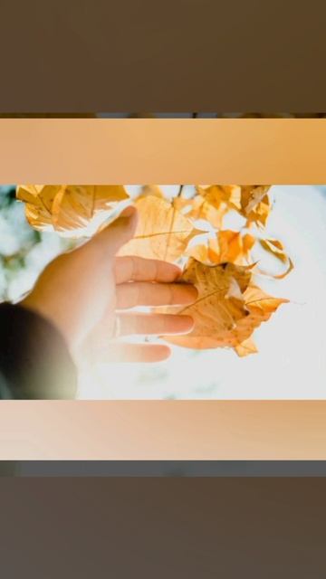 Ты посмотри какое небо. #клипы