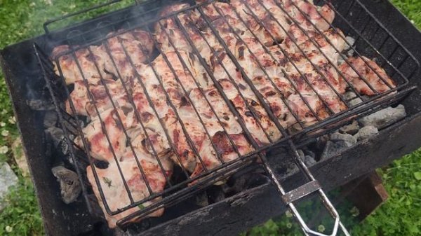 Прожарка шашлыка 2025 ROADCONTROL159