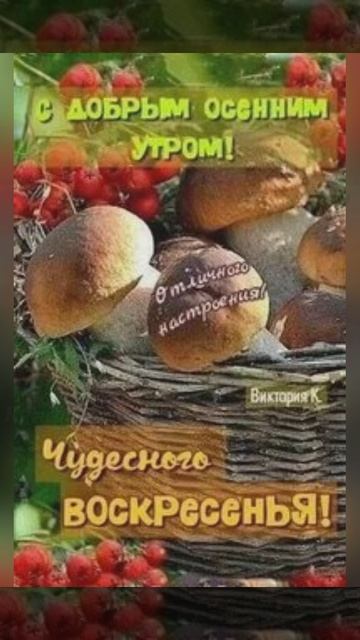 доброе утро🍰