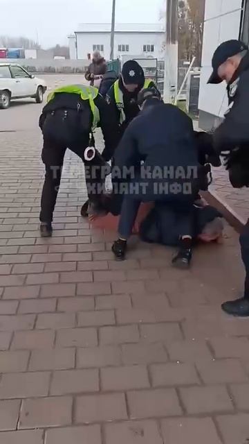 походу овцу свиньи решили использовать повторно смотреть онлайн