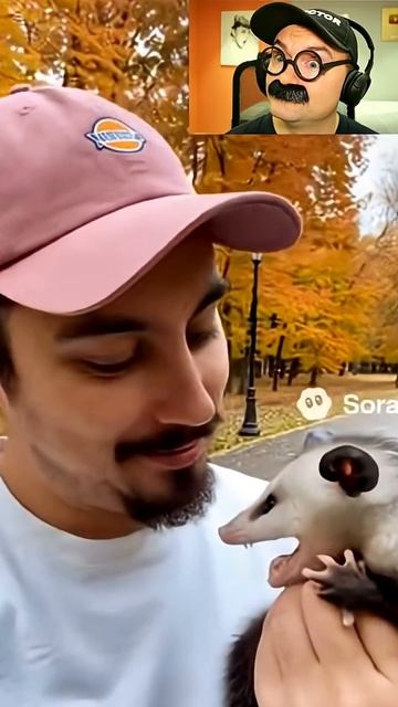 Какая-то странная кошечка смотреть онлайн