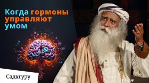 Не позволяйте телу управлять вашей жизнью