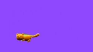 кот футажи для всех