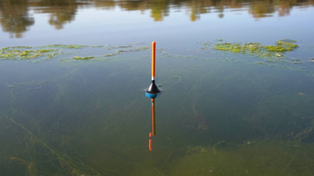 Только закинул и сразу тащит поплавок. Рыбалка на новом месте смотреть онлайн
