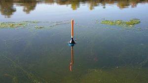 Только закинул и сразу тащит поплавок. Рыбалка на новом месте