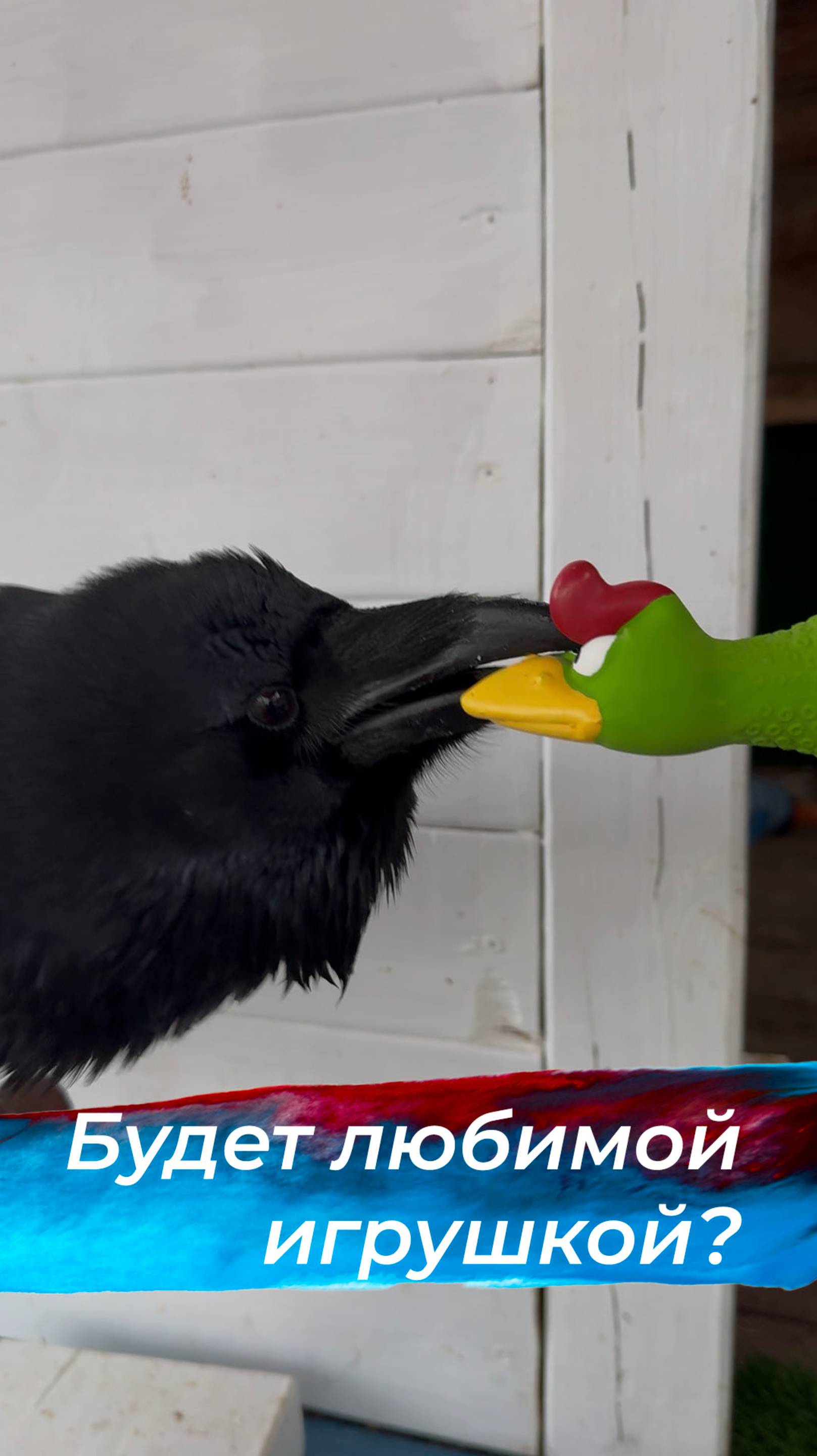 Понравится игрушка? смотреть онлайн