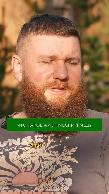 Пробовали арктический мед? Какой вид мёда ваш любимый и почему? #мед #мёд #пасека #север #арктика смотреть онлайн