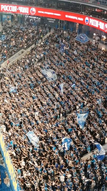 "Надо гол" от фанатов "Зенита". смотреть онлайн