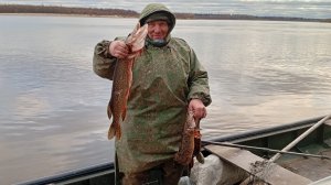 Наша Маша. Крупная щука на продольник