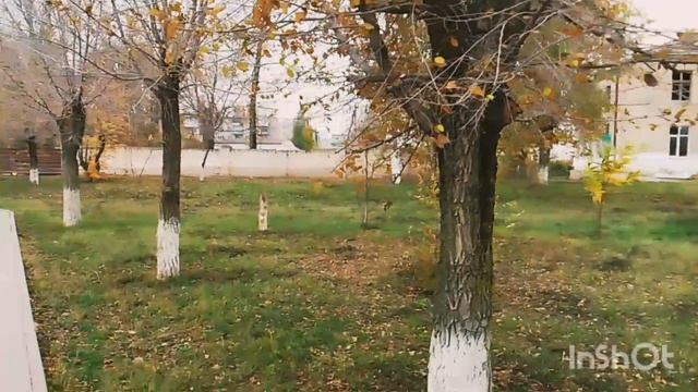 Легко и здорово!Наша осенняя прогулка/Небольшая Покупочка смотреть онлайн