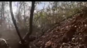 Англоязычные наёмники, визжа и ругаясь по‑русски, бросились бежать от наших штурмов,