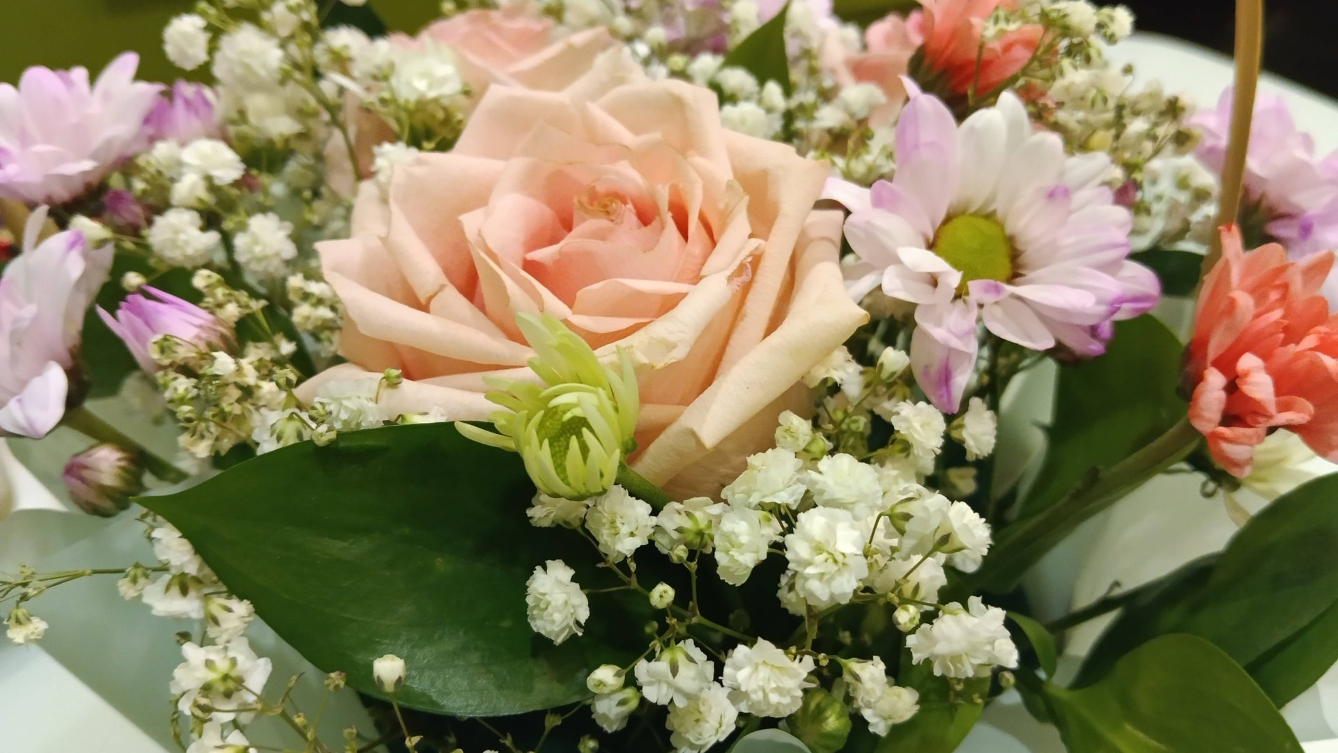 меня поздравили Единая Россия, Городская Дума и депутат Антон Холодов спасибо всем смотреть онлайн