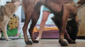 Собирание кусочков в последовательности