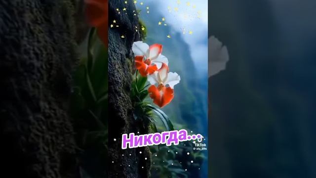 Никогда, никогда, никогда. смотреть онлайн