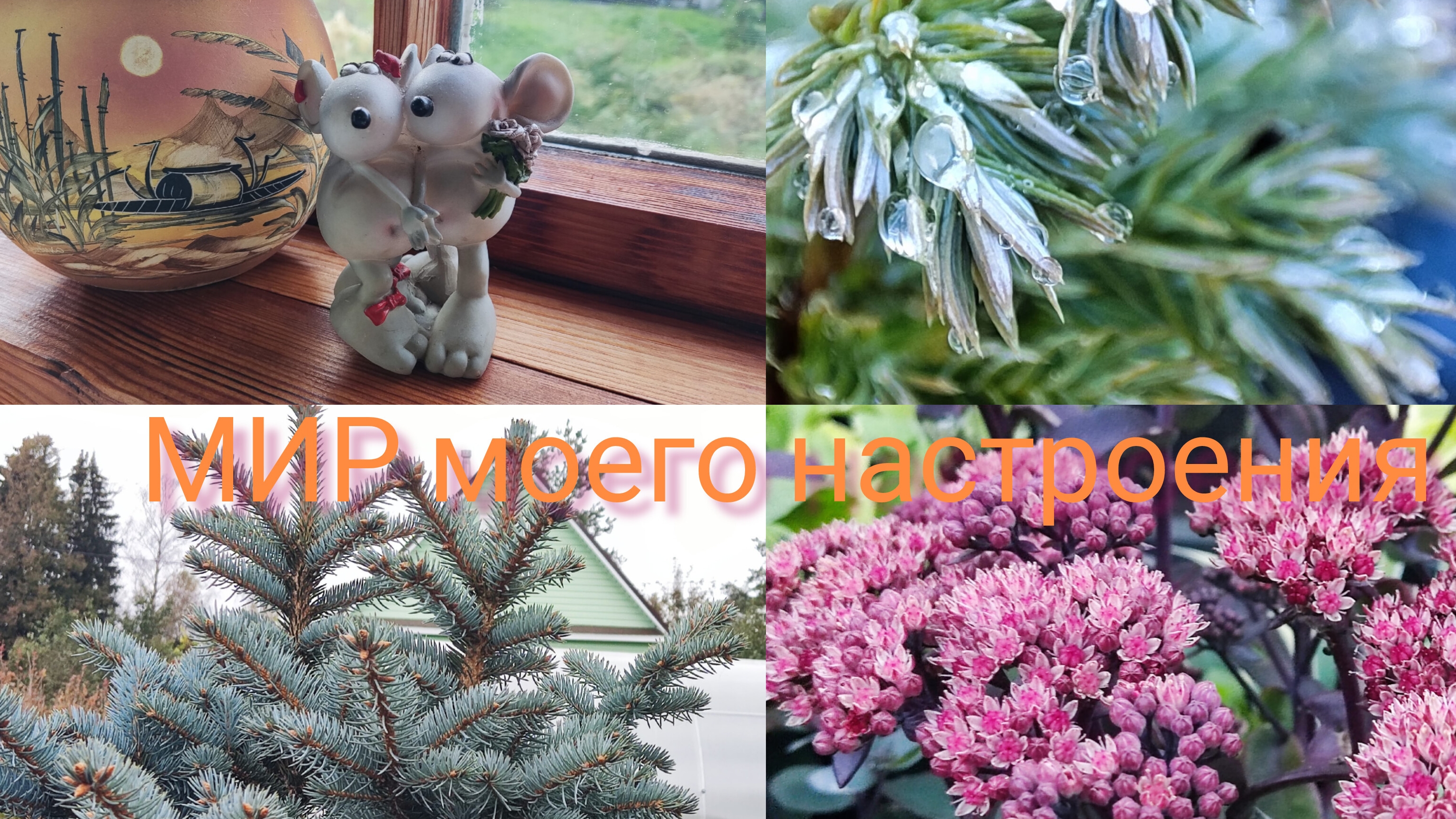 09.11.25 Дача.Закрываем сезон. смотреть онлайн