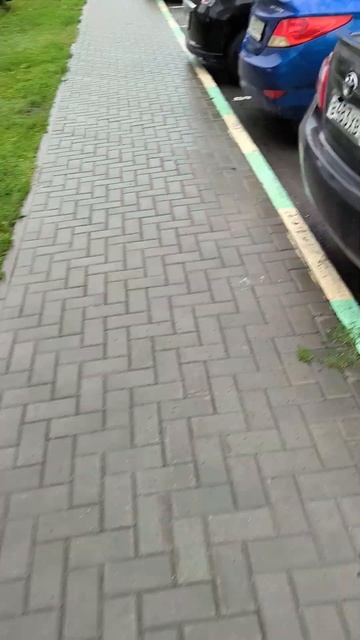 озон или вб?