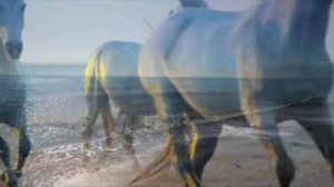 МУЗЫКА ДЛЯ ДУШИ ,ВОСПОМИНАНИЕ,Музыка Сергей Грищук @grishchuksergey