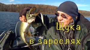 ЩУКА на НЕЗАЦЕПЛЯЙКИ. Ловим в глухой траве.