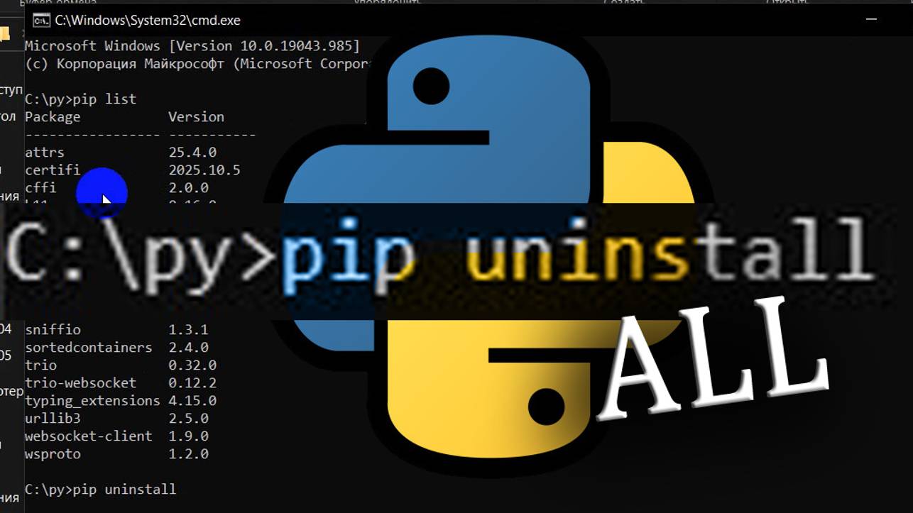 Питон удалить все пакеты - Python delete all packages смотреть онлайн