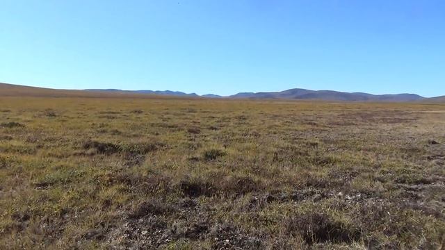 Чукотка 2025. Часть 5. На озеро Эльгыгытгын. смотреть онлайн