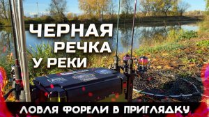 КАК ЛОВИТЬ ФОРЕЛЬ?! Ловля форели в приглядку. Безлимит "Черная Речка у Реки"!