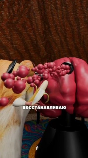 как вам в голове Бибизьяны?