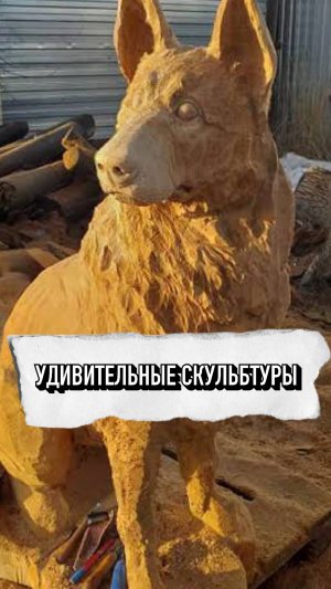 Невероятные Скульптуры Собак 👍😢