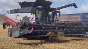 Уборочная пыльного гороха. Торум785.