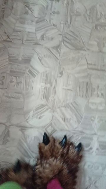 КОГТИ!!! смотреть онлайн