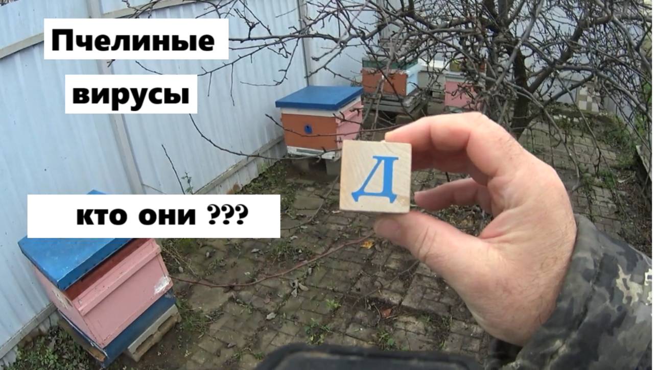 Вирусы пчёл. смотреть онлайн
