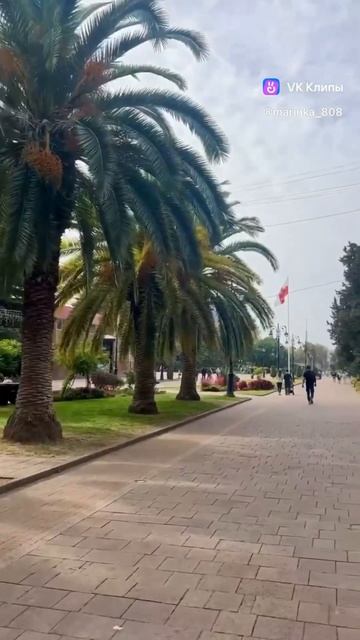 Сочи  ️☀️                        #море #сочи #морскойпорт #навагинская #курорт