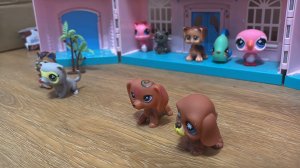 Любимые маленькие питомцы учатся в школе. LPS. На школу напал огромный кот