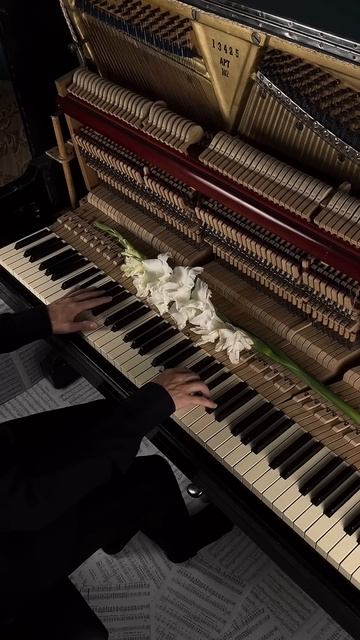 Nuvole Bianche #aesthetic #piano #calm смотреть онлайн