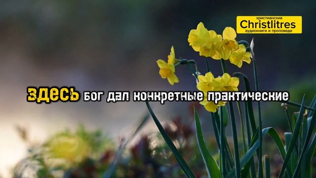 Про исцеление. Ты уже исцелен, просто прими это. От Christlitres смотреть онлайн