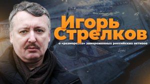 Игорь Стрелков о «разморозке» замороженных российских активов