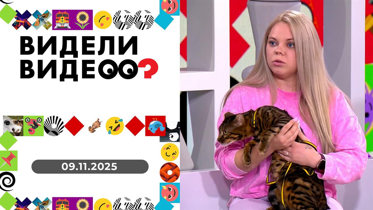 Видели видео? Выпуск от 09.11.2025 смотреть онлайн