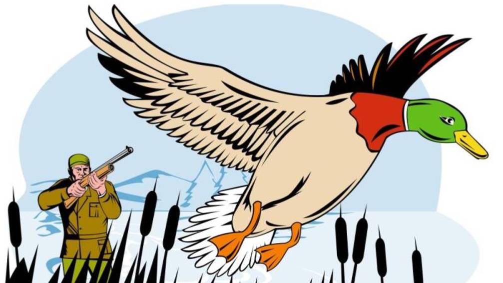 Охота на утку с подхода