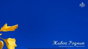 Здесь на земле где ты пока живёшь