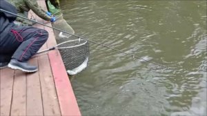 Поимки крупной форели на спиннинг. Рыбалка на Спорт-зоне. Клёвое место Лосиный остров.