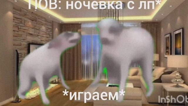 ПОВ: ночёвка с ЛП