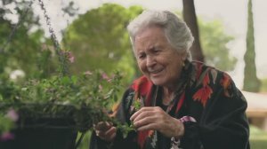 Ты просто живи