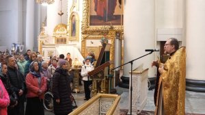 Бесы и свиньи... Вновь и вновь