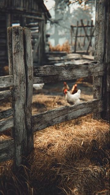 Есенин - Тихий вечер