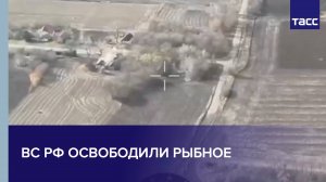 Кадры освобождения населенного пункта Рыбное в Запорожской области