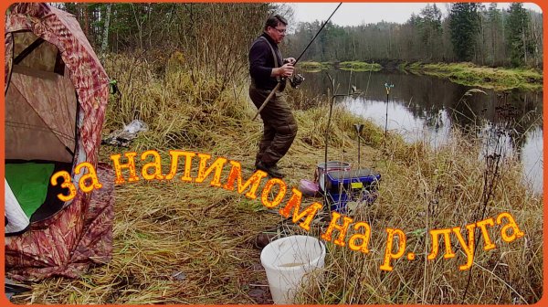 За НАЛИМОМ на р.ЛУГА. С Ночёвкой в ПАЛАТКЕ с ПЕЧКОЙ.