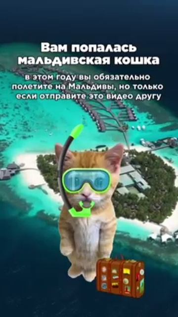 да!👍🏻 смотреть онлайн