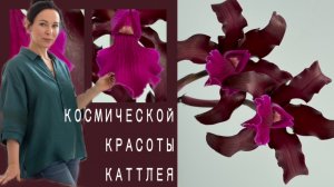 Первое цветение L.C. The Future is Better. Зацвести ее было ЛЕГКО!